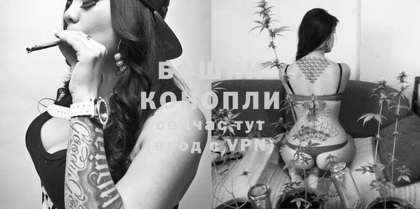 прущий лед Нея