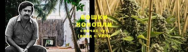 ПСИЛОЦИБИНОВЫЕ ГРИБЫ Струнино